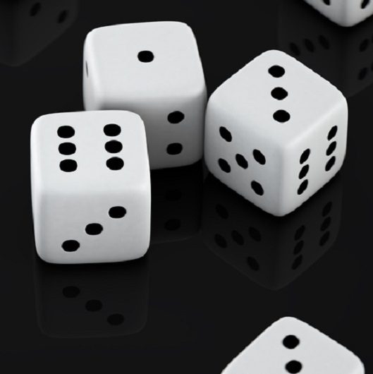 Scattered Dice in Del Webb Naples Ave Maria Florida